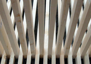 beispielhaft 2007, Willem-Jan Beeren Ludger Krause-Sparmann Paul Jonas Petry