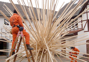beispielhaft 2007, Willem-Jan Beeren Ludger Krause-Sparmann Paul Jonas Petry