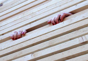 beispielhaft 2007, Willem-Jan Beeren Ludger Krause-Sparmann Paul Jonas Petry