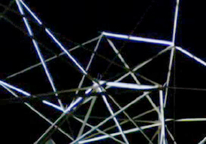 beispielhaft 2008, Willem-Jan Beeren Ludger Krause-Sparmann Paul Jonas Petry