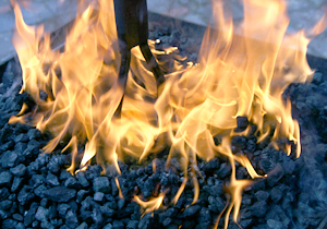 beispielhaft 2008, Willem-Jan Beeren Ludger Krause-Sparmann Paul Jonas Petry