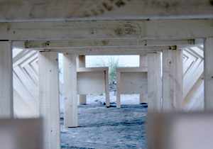 beispielhaft 2008, Willem-Jan Beeren Ludger Krause-Sparmann Paul Jonas Petry