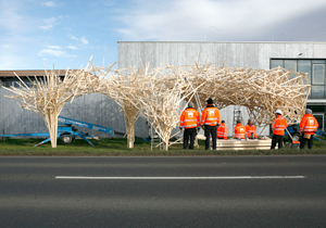 beispielhaft 2009, Willem-Jan Beeren Ludger Krause-Sparmann Paul Jonas Petry