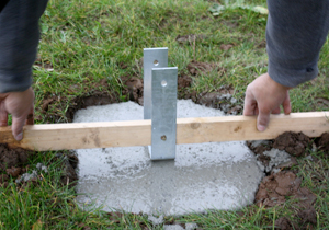 beispielhaft 2009, Willem-Jan Beeren Ludger Krause-Sparmann Paul Jonas Petry