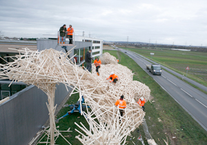 beispielhaft 2009, Willem-Jan Beeren Ludger Krause-Sparmann Paul Jonas Petry