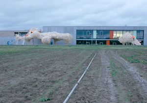 beispielhaft 2009, Willem-Jan Beeren Ludger Krause-Sparmann Paul Jonas Petry