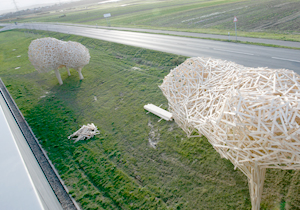 beispielhaft 2009, Willem-Jan Beeren Ludger Krause-Sparmann Paul Jonas Petry