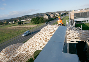 beispielhaft 2009, Willem-Jan Beeren Ludger Krause-Sparmann Paul Jonas Petry