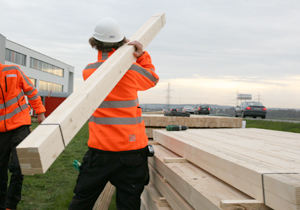 beispielhaft 2009, Willem-Jan Beeren Ludger Krause-Sparmann Paul Jonas Petry