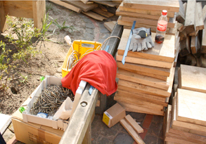 beispielhaft 2009, Willem-Jan Beeren Ludger Krause-Sparmann Paul Jonas Petry