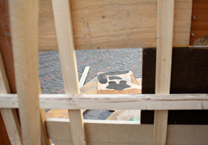 beispielhaft 2009, Willem-Jan Beeren Ludger Krause-Sparmann Paul Jonas Petry