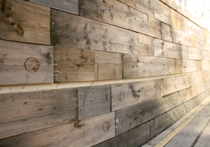 beispielhaft 2009, Willem-Jan Beeren Ludger Krause-Sparmann Paul Jonas Petry