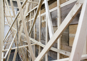 beispielhaft 2009, Willem-Jan Beeren Ludger Krause-Sparmann Paul Jonas Petry