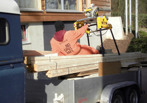 beispielhaft 2009, Willem-Jan Beeren Ludger Krause-Sparmann Paul Jonas Petry