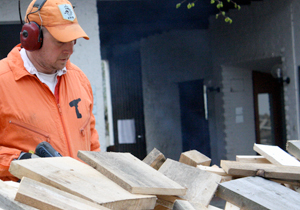 beispielhaft 2009, Willem-Jan Beeren Ludger Krause-Sparmann Paul Jonas Petry