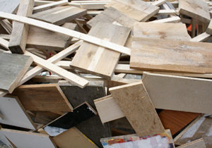 beispielhaft 2009, Willem-Jan Beeren Ludger Krause-Sparmann Paul Jonas Petry