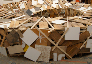 beispielhaft 2009, Willem-Jan Beeren Ludger Krause-Sparmann Paul Jonas Petry