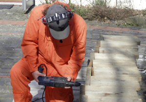 beispielhaft 2009, Willem-Jan Beeren Ludger Krause-Sparmann Paul Jonas Petry