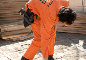 beispielhaft 2009, Willem-Jan Beeren Ludger Krause-Sparmann Paul Jonas Petry