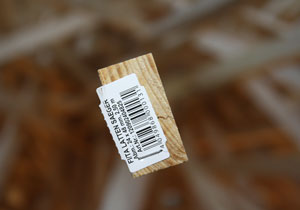 beispielhaft 2010, Willem-Jan Beeren Ludger Krause-Sparmann Paul Jonas Petry