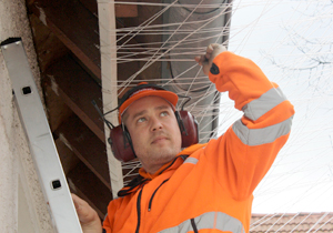 beispielhaft 2010, Willem-Jan Beeren Ludger Krause-Sparmann Paul Jonas Petry