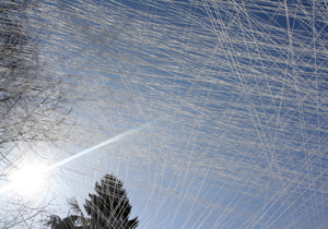 beispielhaft 2010, Willem-Jan Beeren Ludger Krause-Sparmann Paul Jonas Petry