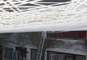 beispielhaft 2010, Willem-Jan Beeren Ludger Krause-Sparmann Paul Jonas Petry