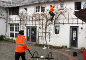 beispielhaft 2010, Willem-Jan Beeren Ludger Krause-Sparmann Paul Jonas Petry