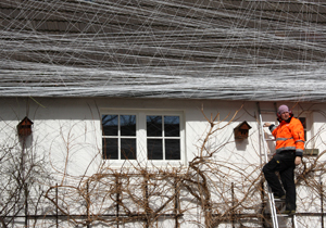 beispielhaft 2010, Willem-Jan Beeren Ludger Krause-Sparmann Paul Jonas Petry