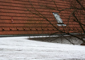 beispielhaft 2010, Willem-Jan Beeren Ludger Krause-Sparmann Paul Jonas Petry