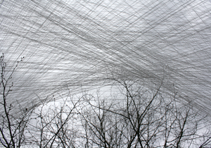 beispielhaft 2010, Willem-Jan Beeren Ludger Krause-Sparmann Paul Jonas Petry