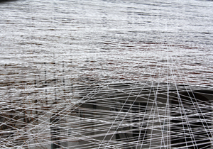 beispielhaft 2010, Willem-Jan Beeren Ludger Krause-Sparmann Paul Jonas Petry