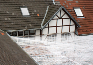 beispielhaft 2010, Willem-Jan Beeren Ludger Krause-Sparmann Paul Jonas Petry