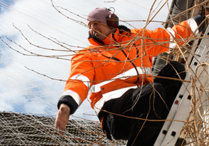 beispielhaft 2010, Willem-Jan Beeren Ludger Krause-Sparmann Paul Jonas Petry