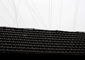 beispielhaft 2010, Willem-Jan Beeren Ludger Krause-Sparmann Paul Jonas Petry