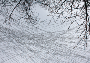 beispielhaft 2010, Willem-Jan Beeren Ludger Krause-Sparmann Paul Jonas Petry