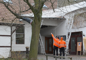 beispielhaft 2010, Willem-Jan Beeren Ludger Krause-Sparmann Paul Jonas Petry