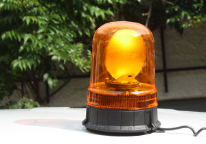 beispielhaft 2010, Willem-Jan Beeren Ludger Krause-Sparmann Paul Jonas Petry