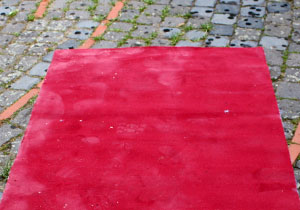 beispielhaft 2010, Willem-Jan Beeren Ludger Krause-Sparmann Paul Jonas Petry