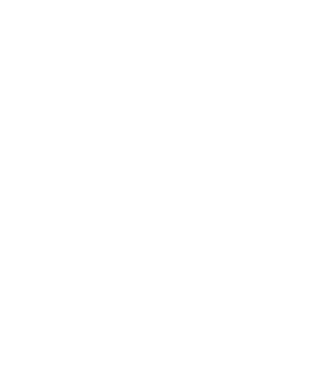 beispielhaft 2008